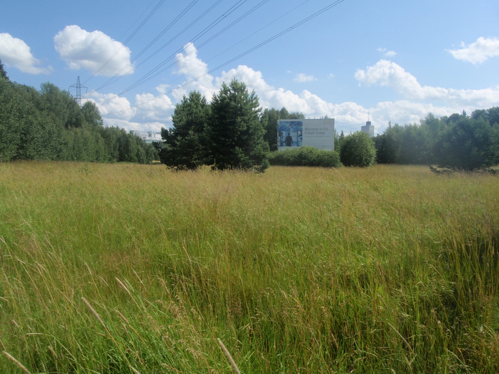 P7160056 framtiden.JPG
